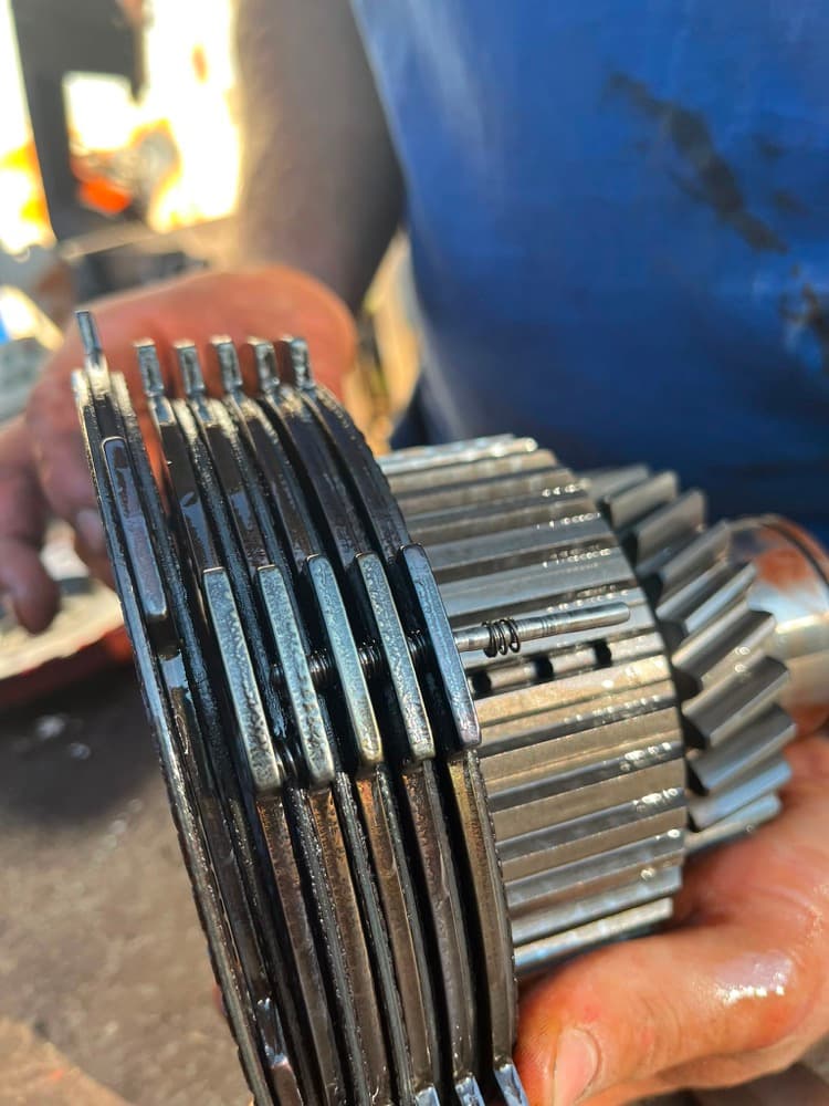 Taille, élagage et travaux forestiers — photo temporaire, à remplacer
